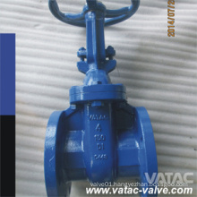 Flanged RF/FF Cast Iron Gate Valve with Non-Rising Stem/Spindle